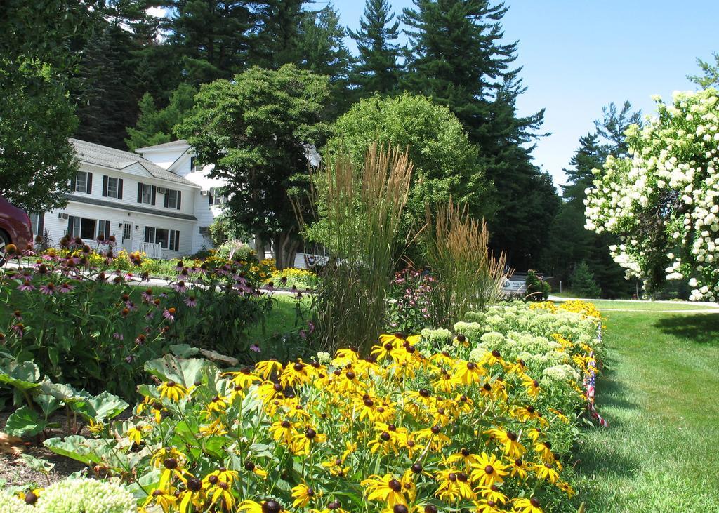 Purity Spring Resort Madison Exterior photo
